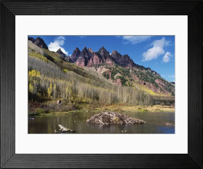 Framed Print : Beaver's Hut / Lodge Rocky Mountains, Colorado, USA Framed Print : Beaver's Hut / Lodge Rocky Mountains, Colorado, USA