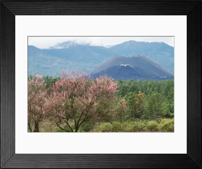 Framed Print : Paricutin Volcano Michoacan, Mexico Framed Print : Paricutin Volcano Michoacan, Mexico