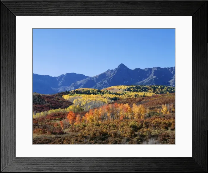 Framed Print : USA Autumn colours in the Rocky Mountains, Colorado Framed Print : USA Autumn colours in the Rocky Mountains, Colorado