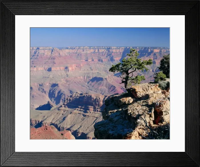Framed Print : Arizona, USA Grand Canyon Framed Print : Arizona, USA Grand Canyon