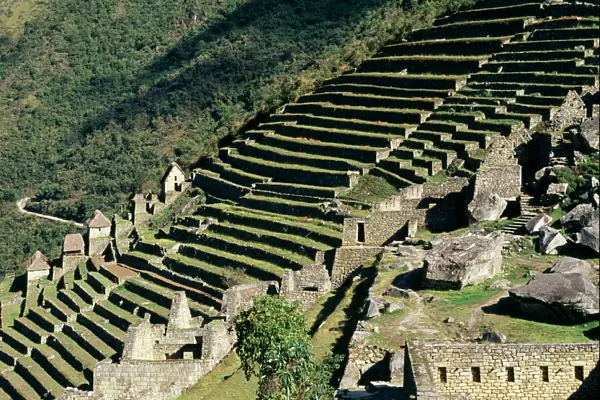 Peru Agriculture terraces, Machu Picchu