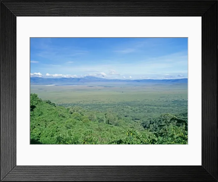 Framed Print : Ngorongoro Conservation Zone, Ngorongoro Crater (World Heritage Site). Tanzania, Africa Framed Print : Ngorongoro Conservation Zone, Ngorongoro Crater (World Heritage Site). Tanzania, Africa