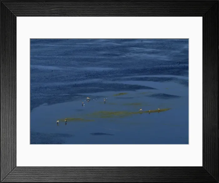 Framed Print : Red Lechwe - Aerial view Okavango delta, Botswana Framed Print : Red Lechwe - Aerial view Okavango delta, Botswana