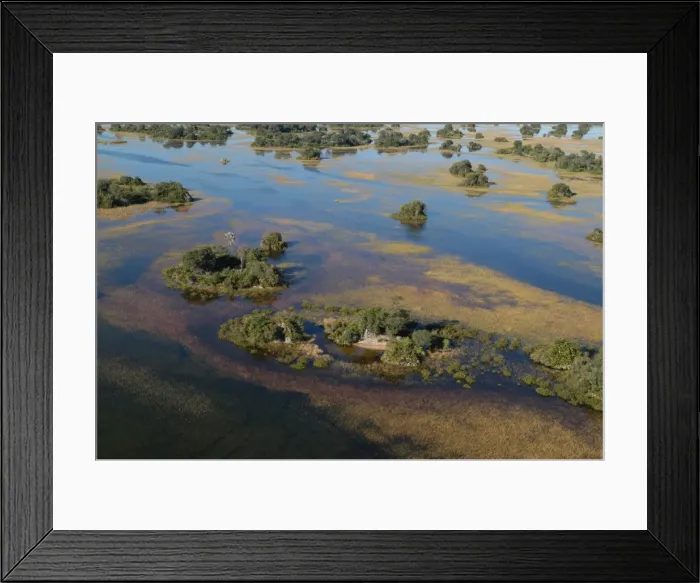 Framed Print : Aerial view of Okavango Delta Botswana Africa Framed Print : Aerial view of Okavango Delta Botswana Africa