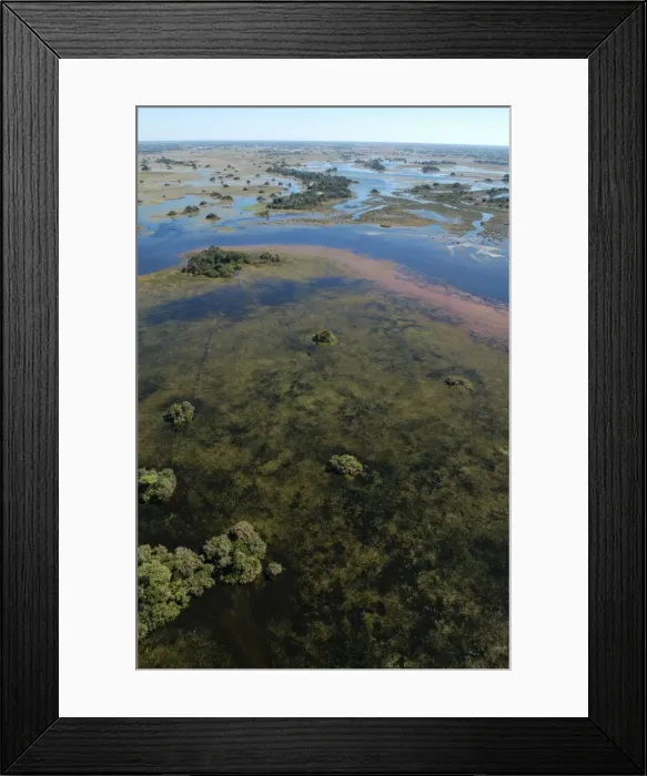 Framed Print : Aerial view of Okavango Delta Botswana Africa Framed Print : Aerial view of Okavango Delta Botswana Africa