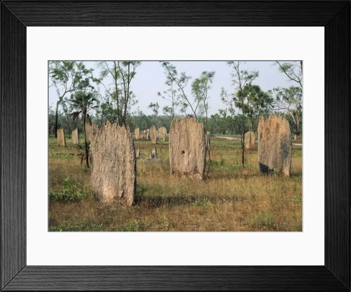 Framed Print : Termite Mounds Australia Framed Print : Termite Mounds Australia