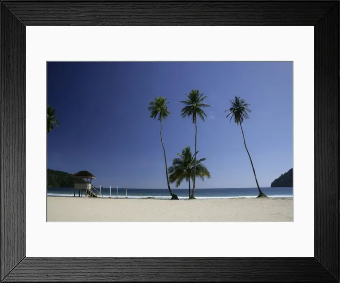 Framed Print : Palm trees on Maracas beach - north coast of Trinidad Framed Print : Palm trees on Maracas beach - north coast of Trinidad