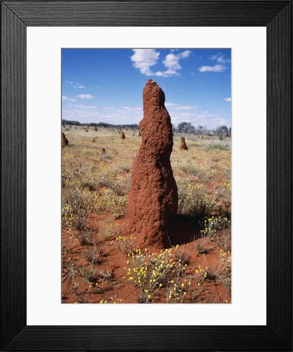 Framed Print : Termite Mound Nr. Alice Springs, Northern Territory, Australia Framed Print : Termite Mound Nr. Alice Springs, Northern Territory, Australia