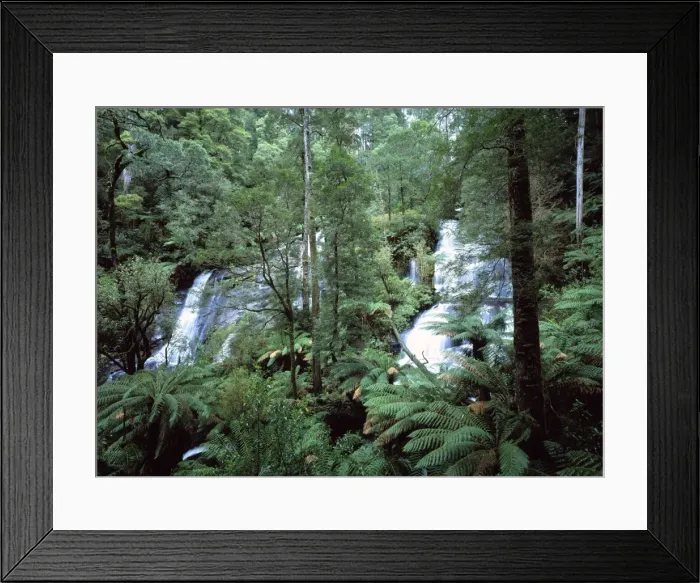 Framed Print : Australia - Twins waterfalls in the Otway National Park southern tip of the state of Victoria