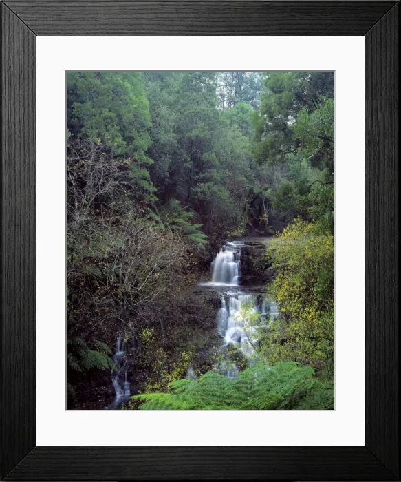 Framed Print : Australia - Turton creek waterfall East Gipsland. Victoria Framed Print : Australia - Turton creek waterfall East Gipsland. Victoria
