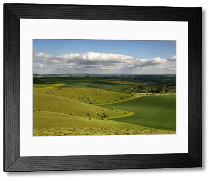 Framed Print : The Vale of Pewsey seen from Walkers Hill, which is part of the Pewsey Downs Nature Reserve near Alton Barnes, Wiltshire, England. Fingers of chalk downland spread out into rich arable land below Framed Print : The Vale of Pewsey seen from Walkers Hill, which is part of the Pewsey Downs Nature Reserve near Alton Barnes, Wiltshire, England. Fingers of chalk downland spread out into rich arable land below
