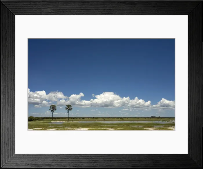 Framed Print : Clouds on the horizon near Twee Palme'. Etosha National Park, Namibia. Africa Framed Print : Clouds on the horizon near Twee Palme'. Etosha National Park, Namibia. Africa