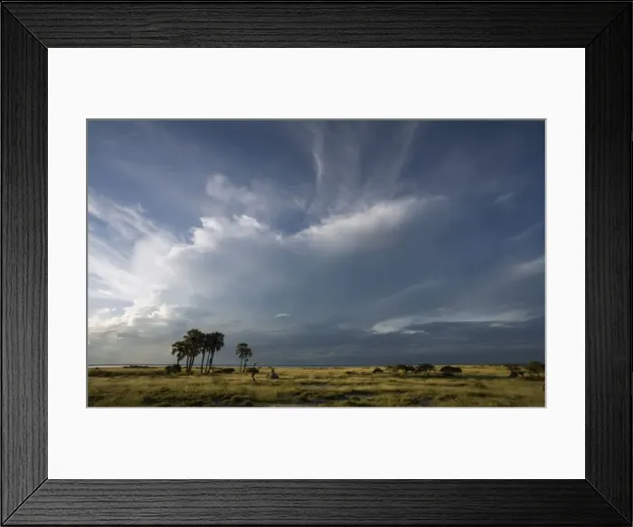 Framed Print : Cloud formation near Namutoni Rest Camp. Etosha National Park Namibia, Africa Framed Print : Cloud formation near Namutoni Rest Camp. Etosha National Park Namibia, Africa