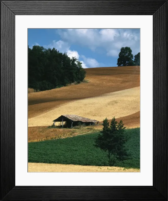 Framed Print : Farming - crops and hut. Lot-et-Garonne - France Framed Print : Farming - crops and hut. Lot-et-Garonne - France
