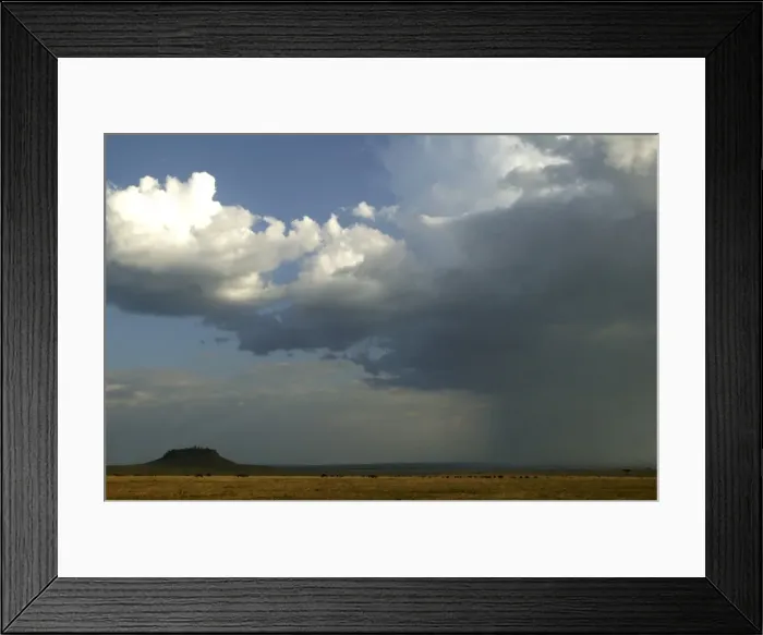 Framed Print : Savannah Maasai mara, Transmara, Kenya Framed Print : Savannah Maasai mara, Transmara, Kenya