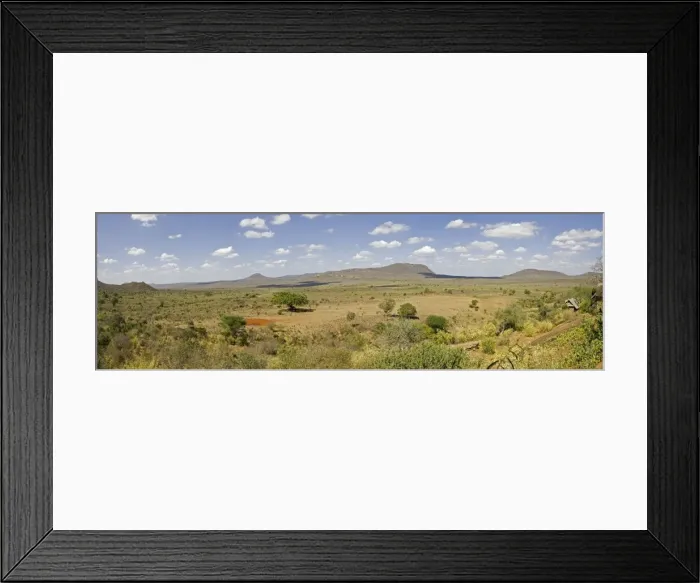 Framed Print : Kenya - Panoramic view of typical scenery in Tsavo West National Park taken from Nguia bandas. Kenya - East Africa Framed Print : Kenya - Panoramic view of typical scenery in Tsavo West National Park taken from Nguia bandas. Kenya - East Africa
