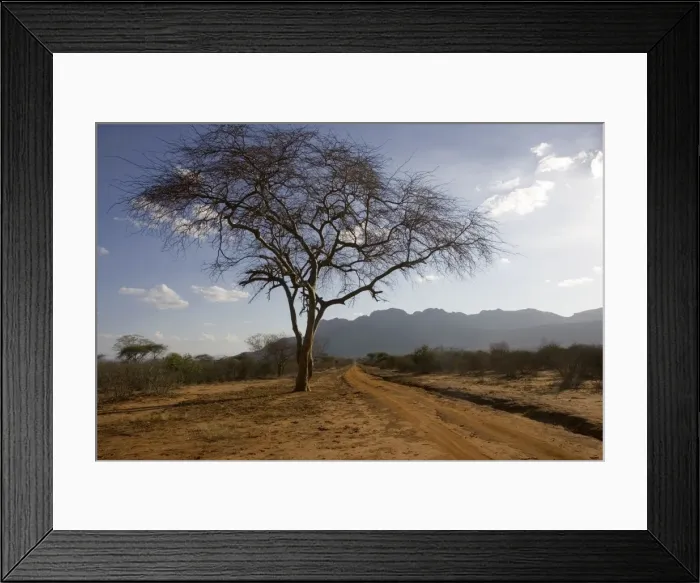 Framed Print : Ngulia escarpment in Tsavo West National Park, Kenya, East Africa Framed Print : Ngulia escarpment in Tsavo West National Park, Kenya, East Africa
