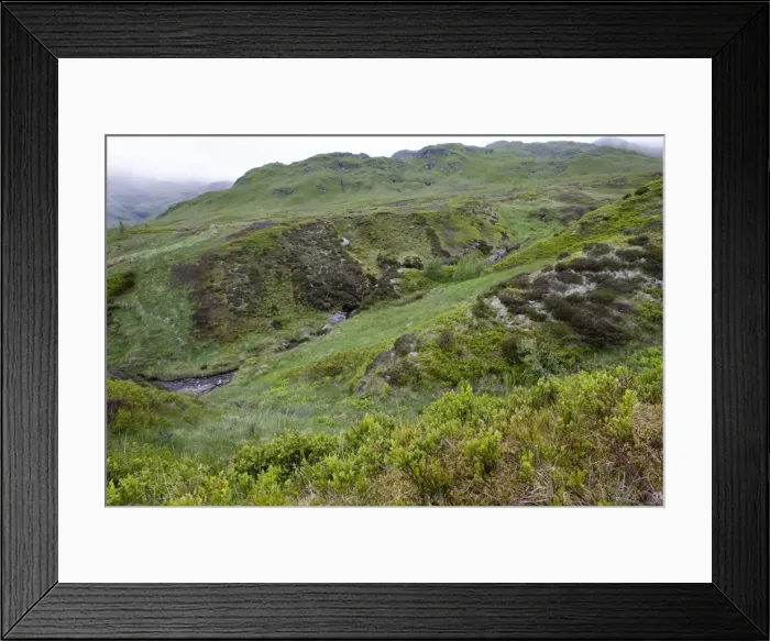 Framed Print : Scotland - Ben Lawers Nature Reserve, showing rich flora within enclosure and heavily grazed areas outside Framed Print : Scotland - Ben Lawers Nature Reserve, showing rich flora within enclosure and heavily grazed areas outside
