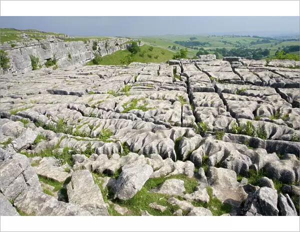 Limestone pavement above Malham Cove has been deeply eroded by acid rain leaving clints (lumps of limestone) and grykes (the gaps in between). Grykes provide habitat for many rare or unusual plants such as hart's tongue ferns