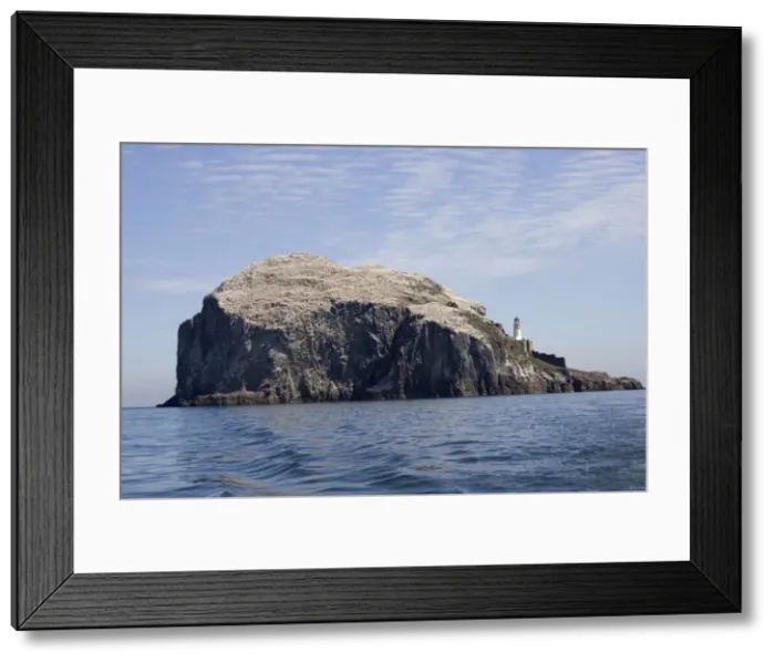 Framed Print : Bass Rock - 10 kms off coast Bass Rock is 450ft high and home to more than 70, 000 gannets as well as puffins and other seabirds. North Berwick off East Lothian coast, Scotland
