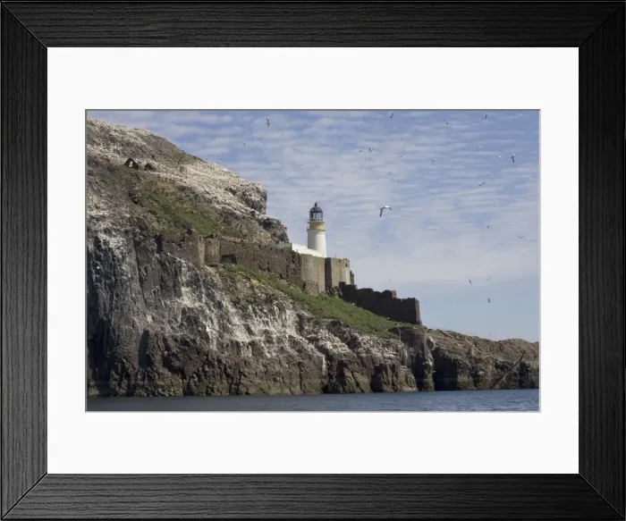 Framed Print : Bass Rock - 10 kms off coast Bass Rock is 450ft high and home to more than 70, 000 gannets as well as puffins and other seabirds. Near lighthouse, North Berwick, off East Lothian coast, Scotland Framed Print : Bass Rock - 10 kms off coast Bass Rock is 450ft high and home to more than 70, 000 gannets as well as puffins and other seabirds. Near lighthouse, North Berwick, off East Lothian coast, Scotland