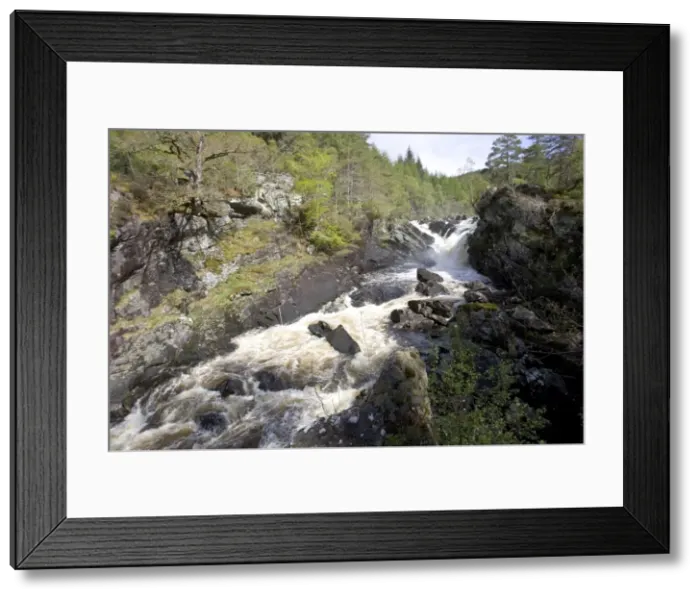 Framed Print : Rogie falls at Blackwater River near Garve Ross and Cromarty Scotland Framed Print : Rogie falls at Blackwater River near Garve Ross and Cromarty Scotland
