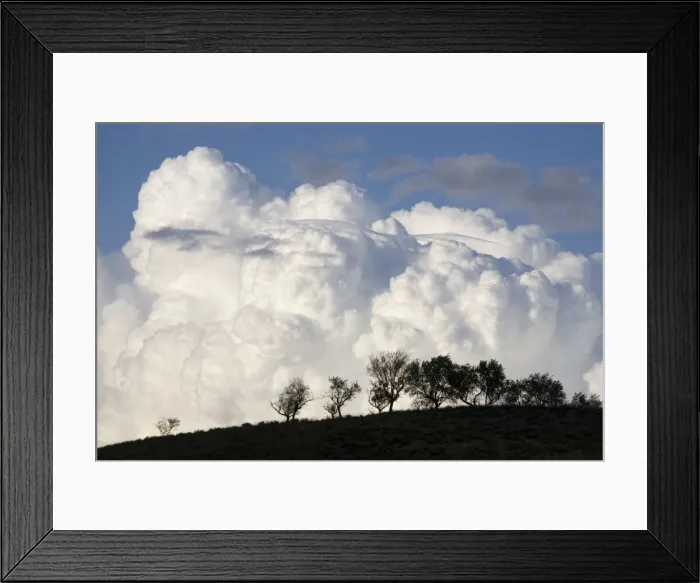 Framed Print : Low altitude billowing cumulus clouds with dark foreground with trees silhouetted on horizon Northern Spain Framed Print : Low altitude billowing cumulus clouds with dark foreground with trees silhouetted on horizon Northern Spain