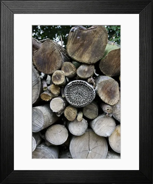 Framed Print : Insect or bug hotel made from plastic bottle and roll of corrugated cardboard in log pile Cotswolds UK Framed Print : Insect or bug hotel made from plastic bottle and roll of corrugated cardboard in log pile Cotswolds UK