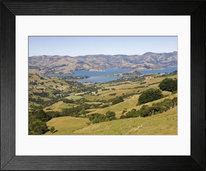 Framed Print : New Zealand - Scenic of Akaroa harbour surrounded by volcanic hills- Banks Peninsula Framed Print : New Zealand - Scenic of Akaroa harbour surrounded by volcanic hills- Banks Peninsula