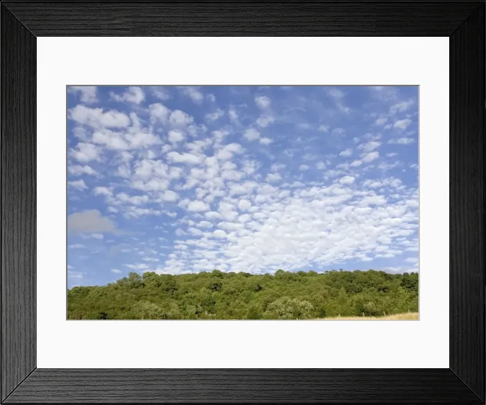 Framed Print : Altocumulus clouds in deep blue sky above landscape of woodland, Cotswolds, UK Framed Print : Altocumulus clouds in deep blue sky above landscape of woodland, Cotswolds, UK