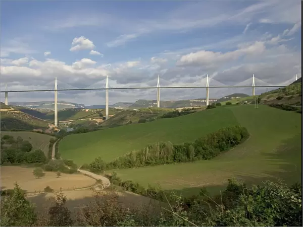 Millau viaduct spanning the Tarn Gorge, southern France. At 336 metres the cable-stayed Viaduc de Millau is the highest bridge in the world and 2. 5 kms long
