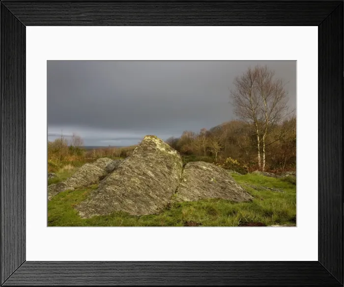 Framed Print : Druid hill - Paimpont forest, / Broceliande, Paimpont, Rennes, Brittany, France Framed Print : Druid hill - Paimpont forest, / Broceliande, Paimpont, Rennes, Brittany, France