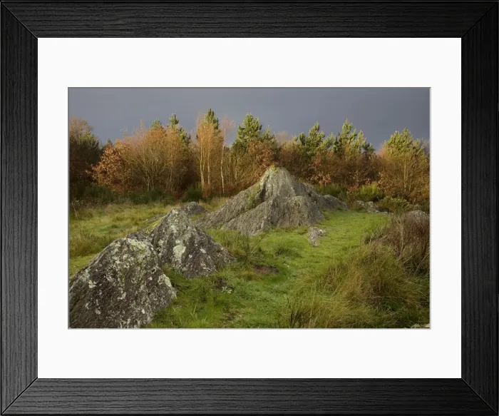 Framed Print : Druid hill - Broceliande - Brittany - France Framed Print : Druid hill - Broceliande - Brittany - France