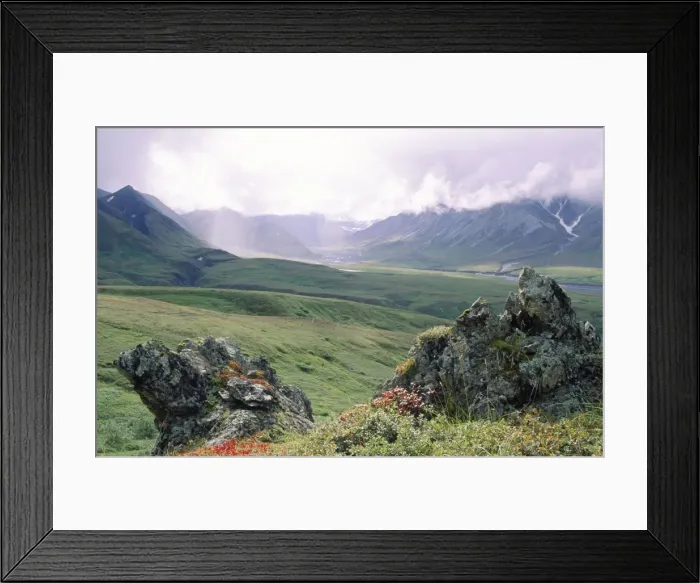 Framed Print : Denali National Park, Thorofare R. Valley, Alaska Range, Alaska USA Framed Print : Denali National Park, Thorofare R. Valley, Alaska Range, Alaska USA