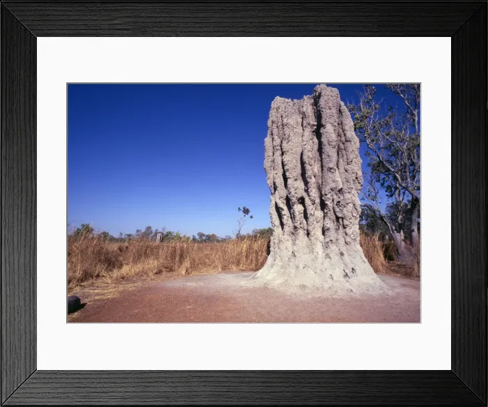 Framed Print : Termite Mound - Australia Framed Print : Termite Mound - Australia