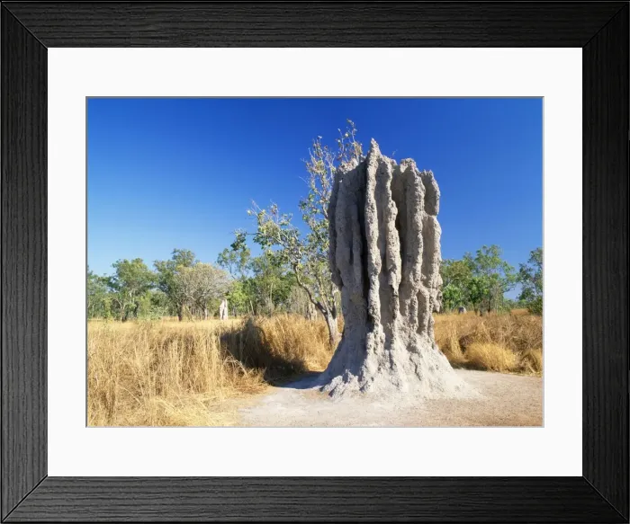 Framed Print : Termite Mound Australia Framed Print : Termite Mound Australia
