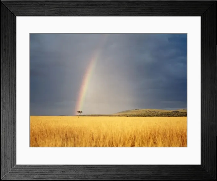 Framed Print : Rainbow Kenya, Africa Framed Print : Rainbow Kenya, Africa
