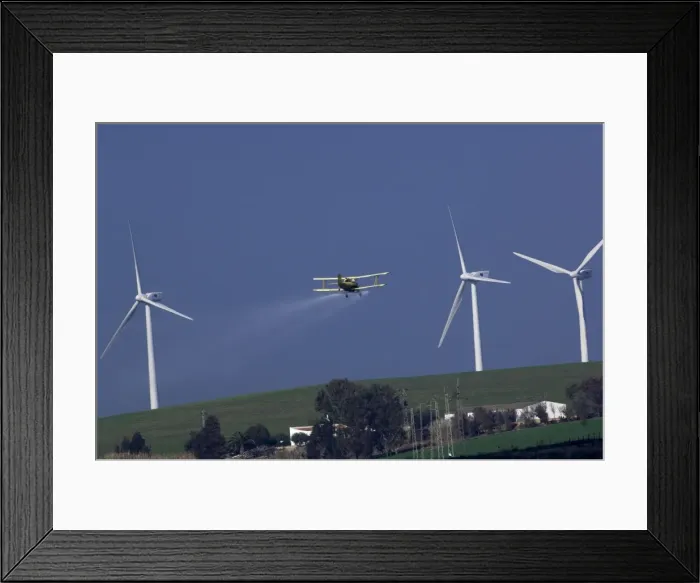 Framed Print : Plane Crop spraying in Adalucia, Spain, January Framed Print : Plane Crop spraying in Adalucia, Spain, January