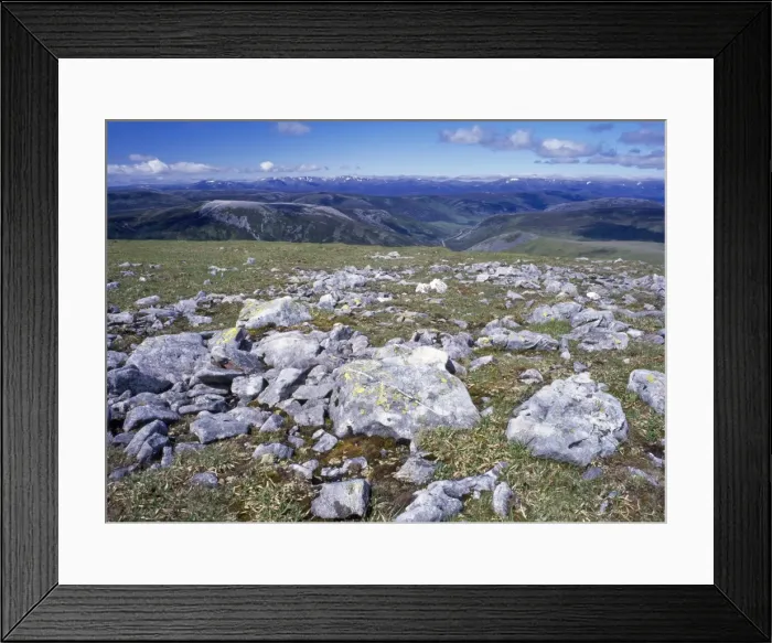 Framed Print : Scotland - high altitude Lichen covered stone fields. summit of Glas Maol, Caenlochan, Cairngorm