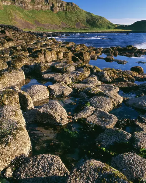 Ireland Giant's Causeway. Heexagonal basalt columns. World heritage site, Co. antrim, ulster (NT)