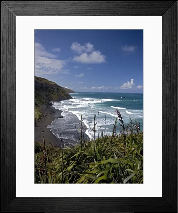 Framed Print : Muriwai Beach, North Island, New Zealand, with New Zealand flax in foreground Framed Print : Muriwai Beach, North Island, New Zealand, with New Zealand flax in foreground