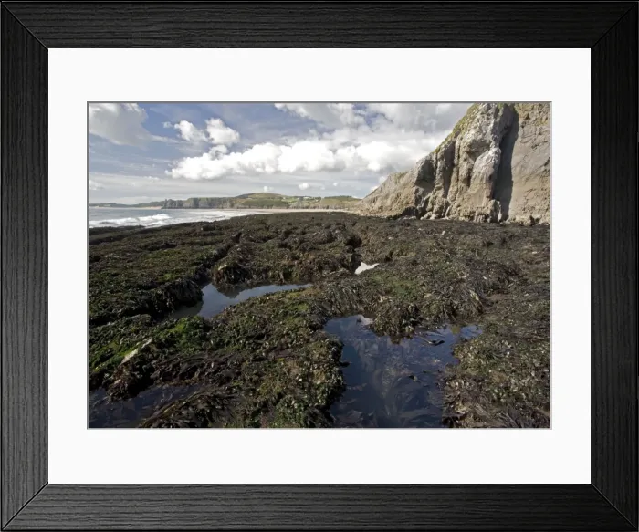 Framed Print : Very low tide at Three Crowns Bay, Gower peninsula. Mussel beds etc. exposed Framed Print : Very low tide at Three Crowns Bay, Gower peninsula. Mussel beds etc. exposed