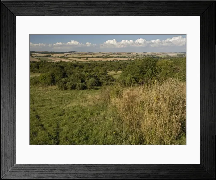 Framed Print : Grassland. ROG-11603. Grassland - chalk downland Framed Print : Grassland. ROG-11603. Grassland - chalk downland