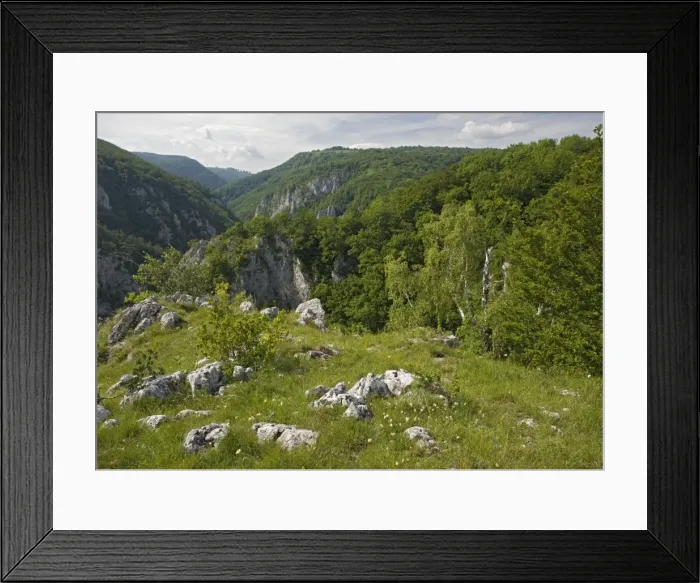 Framed Print : Zadielska gorge, within the Slovensky Kras National Park Framed Print : Zadielska gorge, within the Slovensky Kras National Park