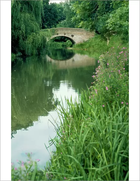 Canal - Basingstoke canal Winchfield, Hampshire, UK