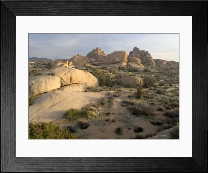 Framed Print : Joshua Tree National Park California, USA Framed Print : Joshua Tree National Park California, USA