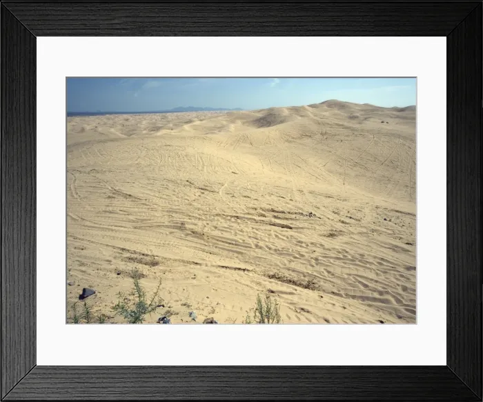Framed Print : Algodones dunes - huge off-road vehicle recreation area, now devoid of vegetation. SE California, near Mexican border, USA Framed Print : Algodones dunes - huge off-road vehicle recreation area, now devoid of vegetation. SE California, near Mexican border, USA