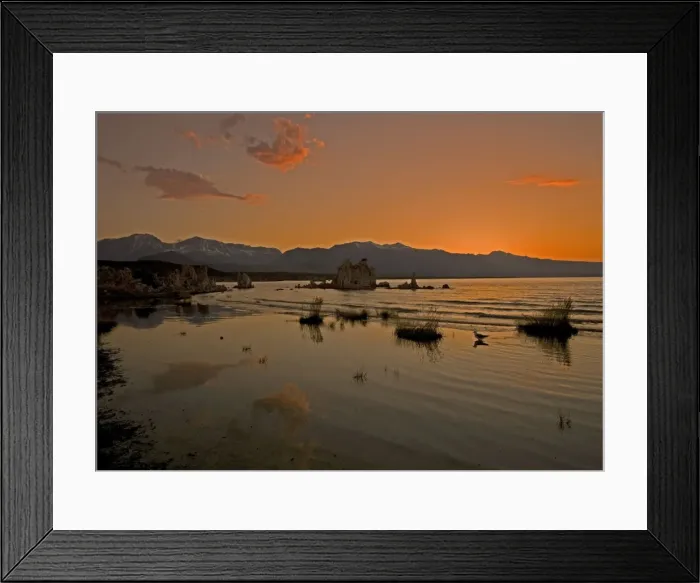 Framed Print : Mono Lake - at 6400 feet. Famous for its tufa pinnacles, threat from Los Angeles water supply, and its birds. Sunset East side of Sierra Nevada near Lee Vining, USA Framed Print : Mono Lake - at 6400 feet. Famous for its tufa pinnacles, threat from Los Angeles water supply, and its birds. Sunset East side of Sierra Nevada near Lee Vining, USA
