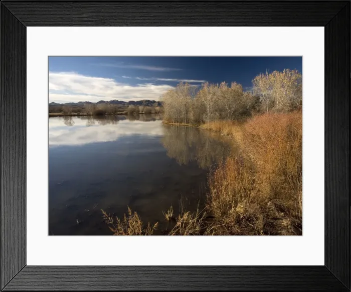 Framed Print : Wetland - in midwinter. Bosque del Apache National Wildlife Refuge, New Mexico Framed Print : Wetland - in midwinter. Bosque del Apache National Wildlife Refuge, New Mexico
