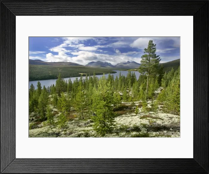 Framed Print : Atna valley wild mountain scenery in early autumn Atna valley, Hedmark, Norway Framed Print : Atna valley wild mountain scenery in early autumn Atna valley, Hedmark, Norway